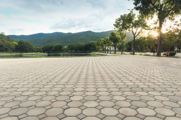 Best Best Driveway Pavers  in Penn Valley, CA